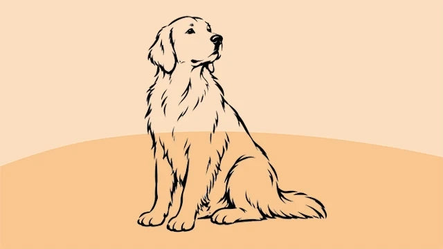 Bio-Hundefutter