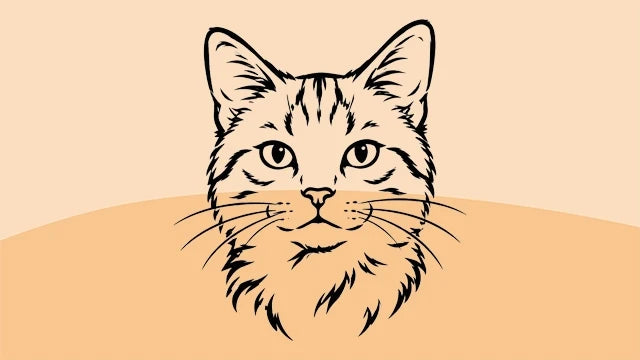 Bio-Katzenfutter