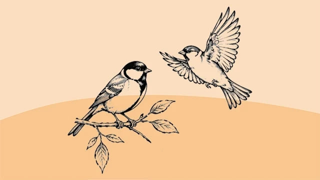 Bio-Wildvogelfutter