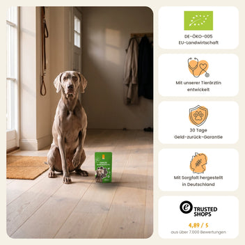 Kauglück Bio-Proteinhappen Rind