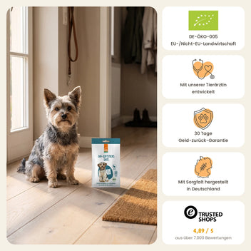 Hund Bio-Softsticks Ente