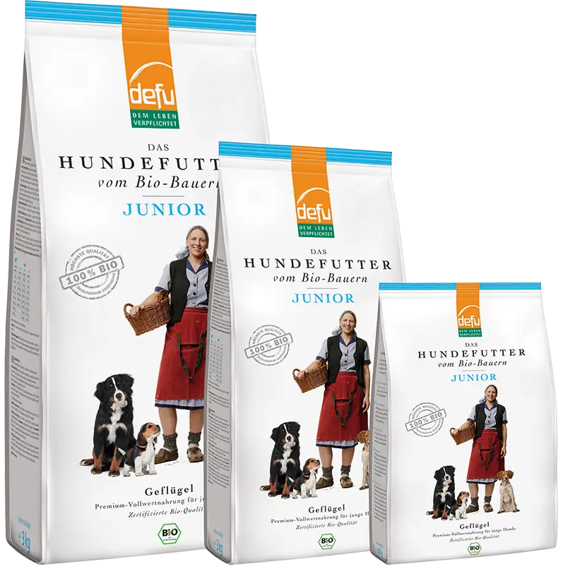 Hund Junior Geflügel
