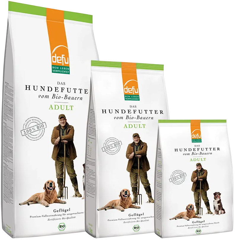 Hund Adult Geflügel
