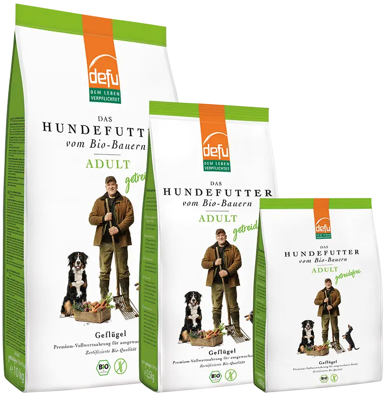 Hund Adult getreidefrei Geflügel