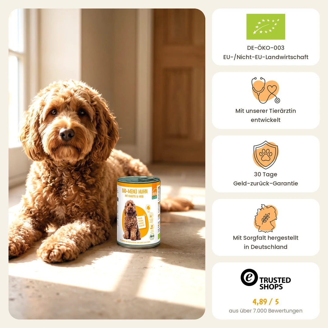 Hund Bio-Menü mit Huhn mit Karotte & Hirse