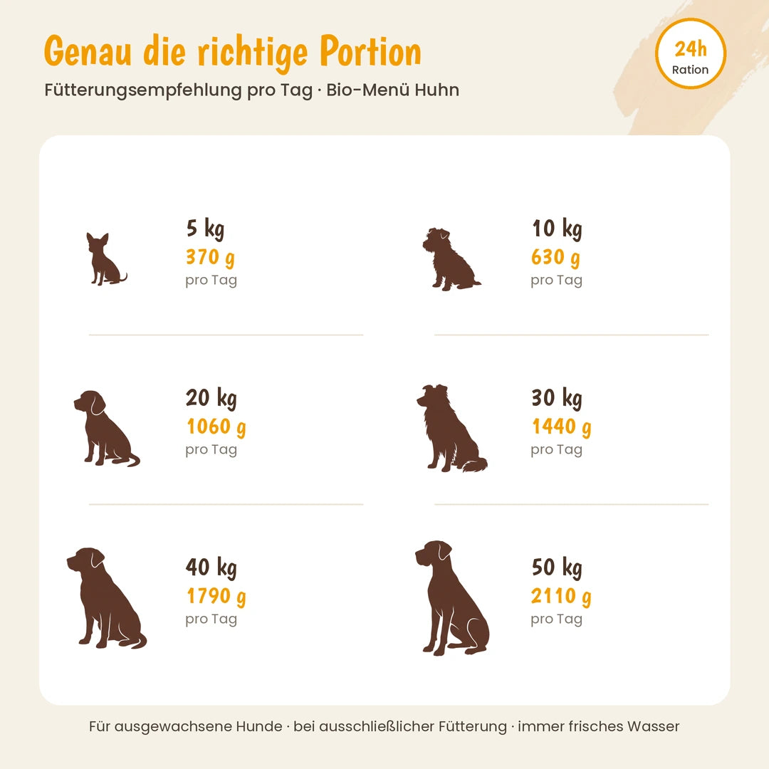 Hund Bio-Menü mit Huhn mit Karotte & Hirse