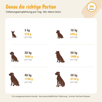 Hund Bio-Menü mit Huhn mit Karotte & Hirse