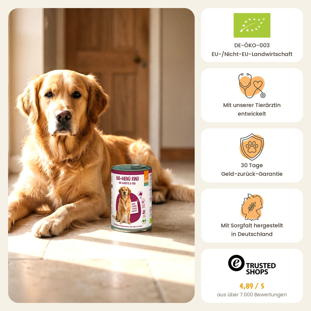 Hund Bio-Menü Rind mit Karotte & Reis