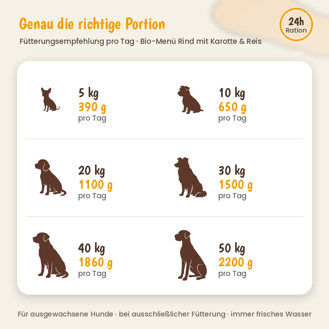 Hund Bio-Menü Rind mit Karotte & Reis
