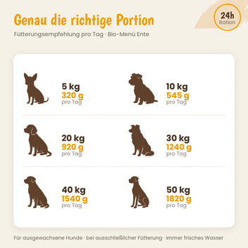 Hund Bio-Menü Ente mit Zucchini & Hirse