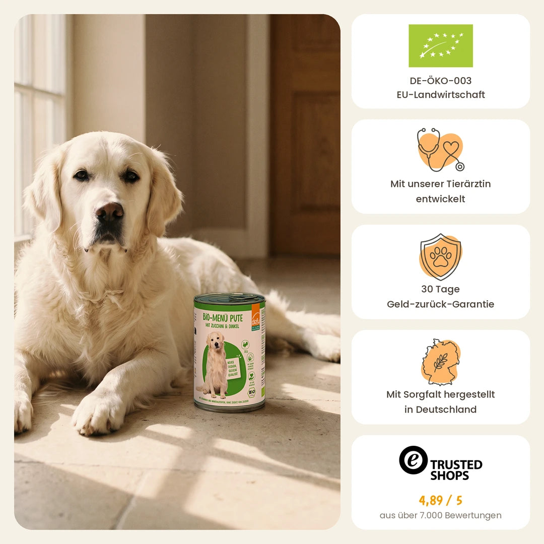 Hund Bio-Menü Pute mit Zucchini & Dinkel