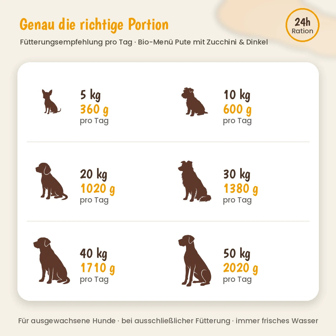 Hund Bio-Menü Pute mit Zucchini & Dinkel