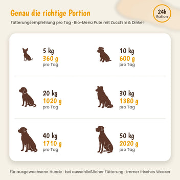Hund Bio-Menü Pute mit Zucchini & Dinkel