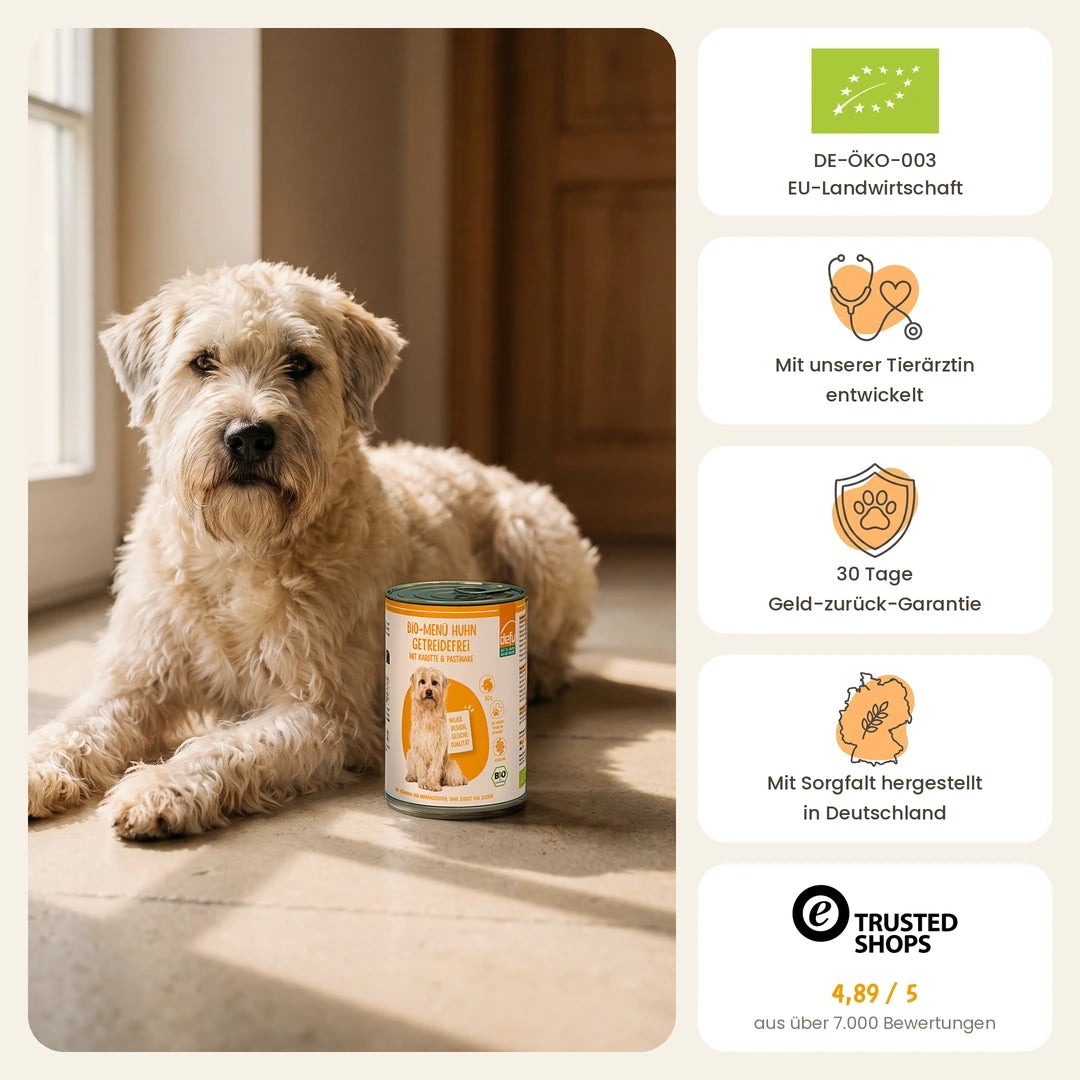 Hund Bio-Menü Huhn getreidefrei mit Karotte & Pastinake