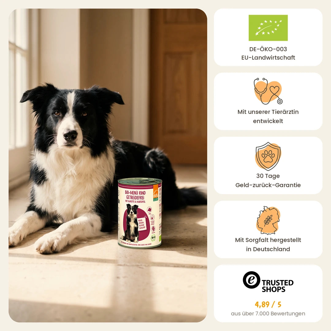 Hund Bio-Menü Rind getreidefrei mit Karotte & Kartoffel
