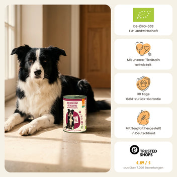 Hund Bio-Menü Rind getreidefrei mit Karotte & Kartoffel