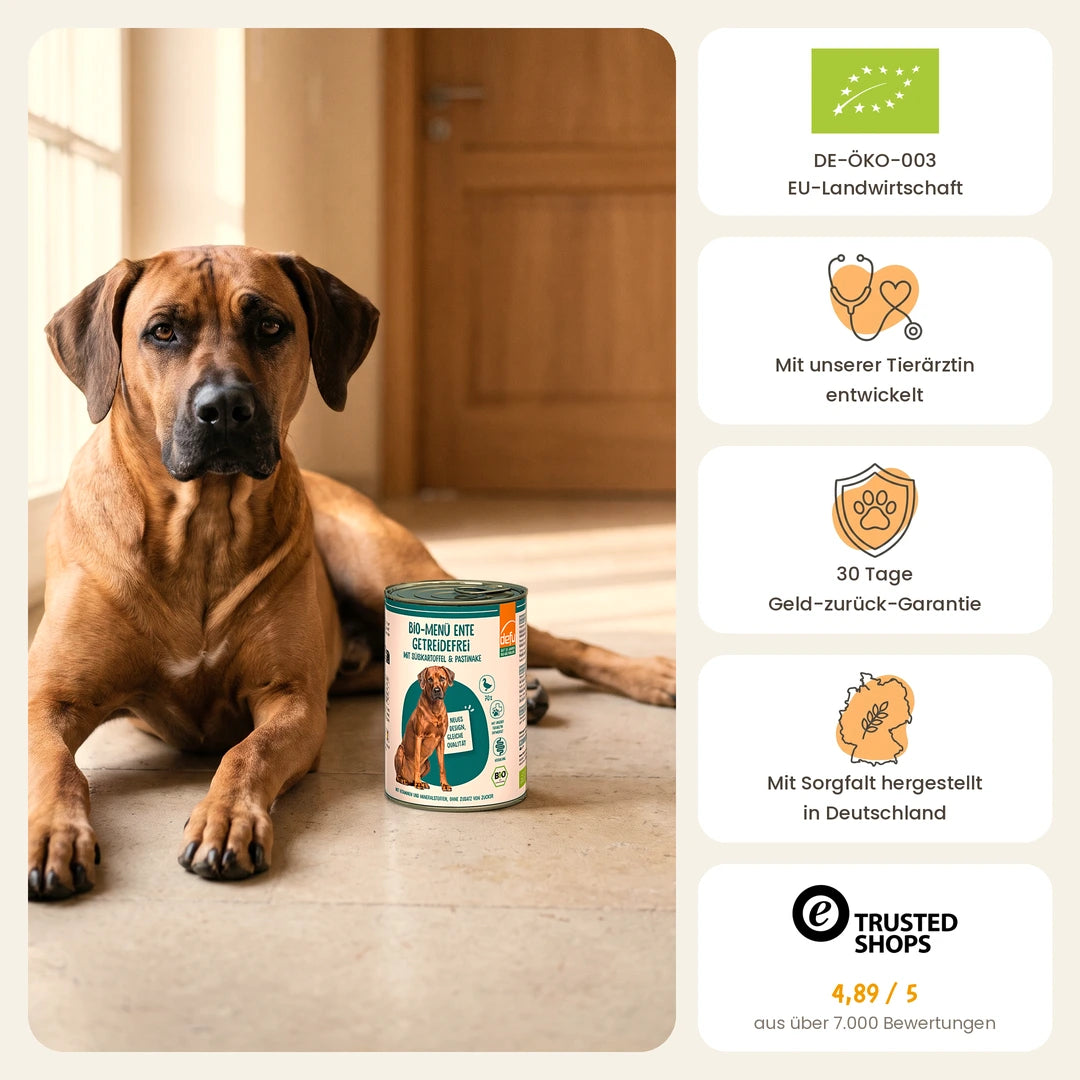 Hund Bio-Menü Ente getreidefrei mit Süßkartoffel & Pastinake