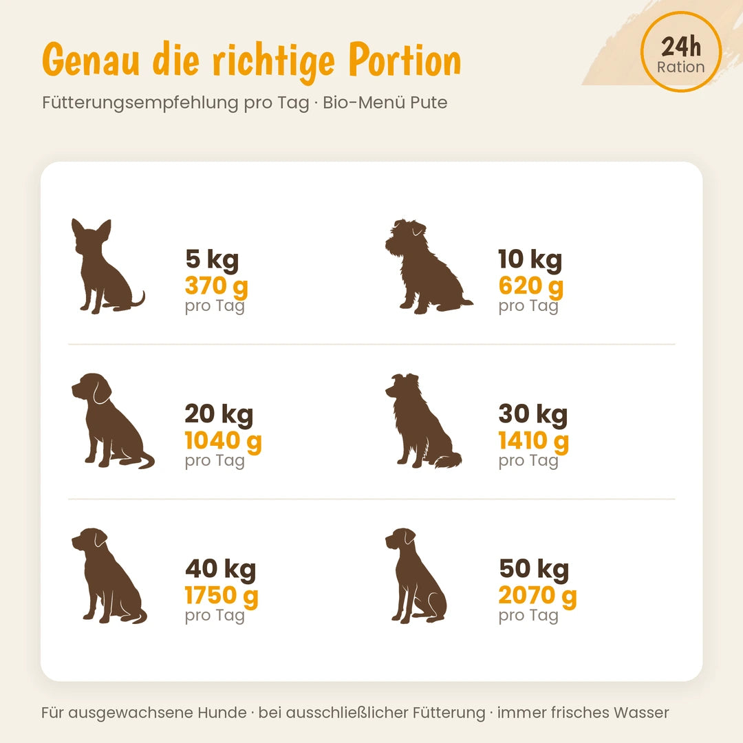 Hund Bio-Menü Pute getreidefrei mit Zucchini & Kürbis