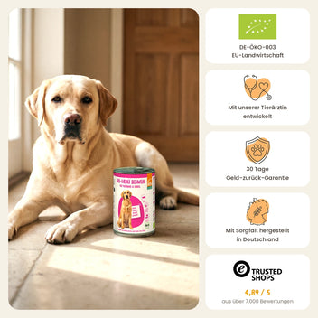 Hund Bio-Menü Schwein mit Pastinake & Dinkel