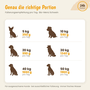 Hund Bio-Menü Schwein mit Pastinake & Dinkel