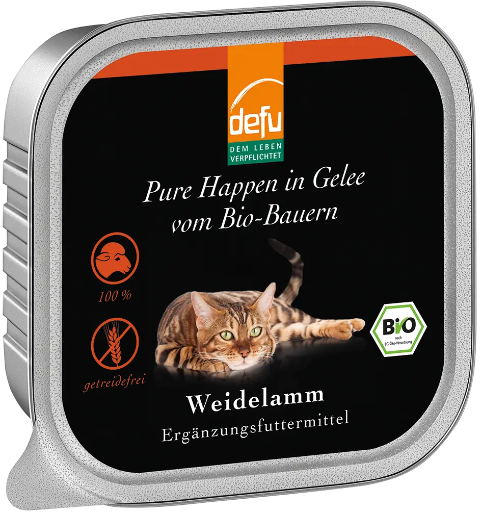 Katze Pure Happen in Gelee Bio-Weidelamm