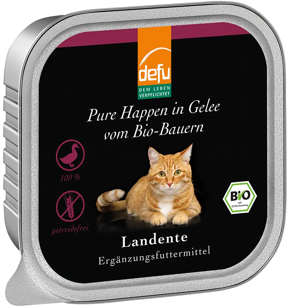 Katze Pure Happen in Gelee Bio-Landente