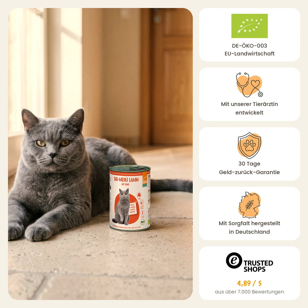 Katze Bio-Menü Lamm mit Rind