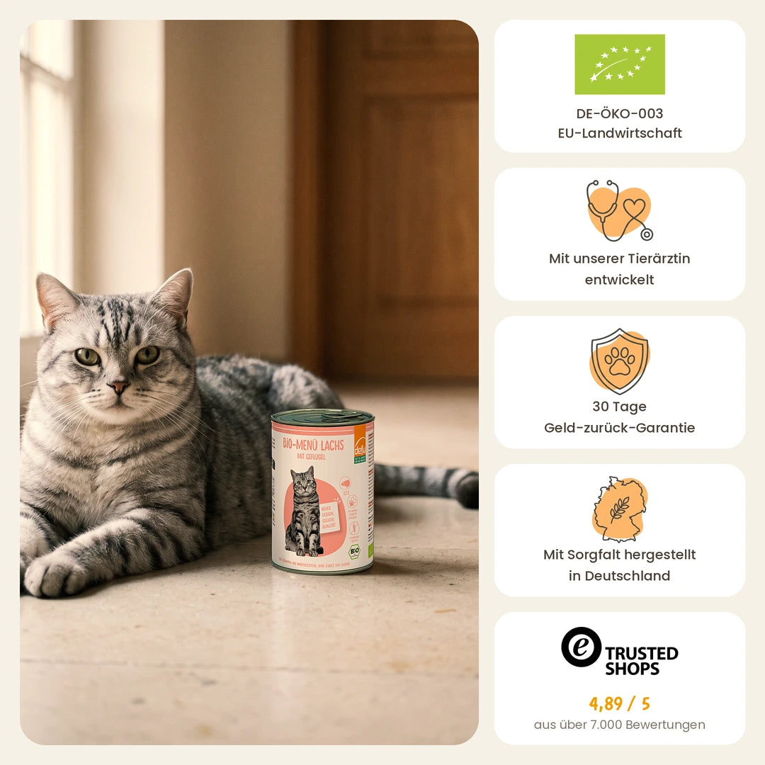 Katze Bio-Menü Lachs mit Geflügel