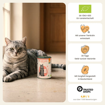 Katze Bio-Menü Lachs mit Geflügel