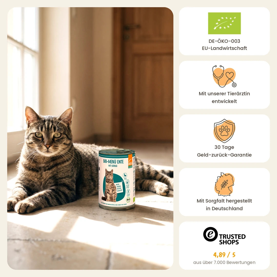 Katze Bio-Menü Ente mit Kürbis