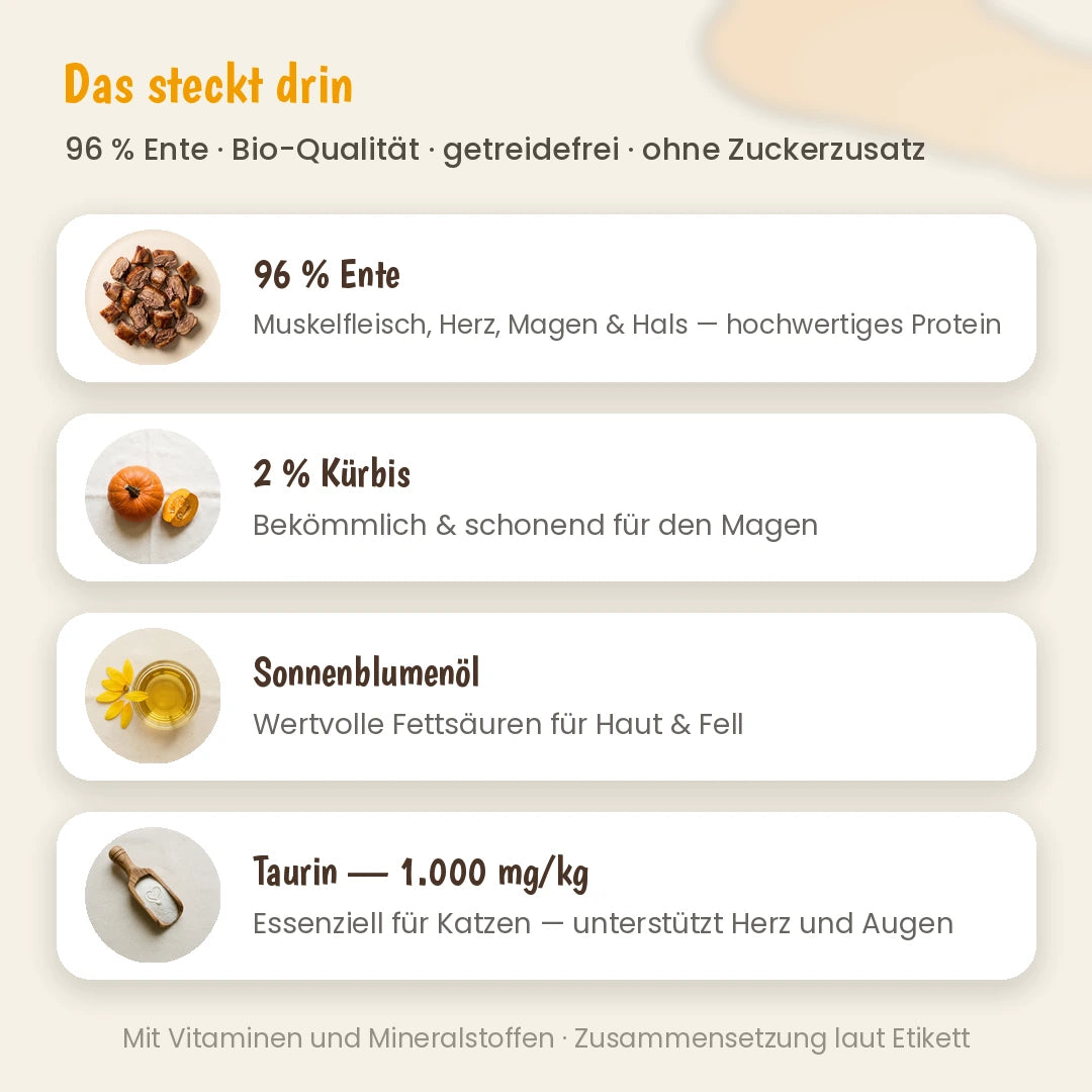 Katze Bio-Menü Ente mit Kürbis