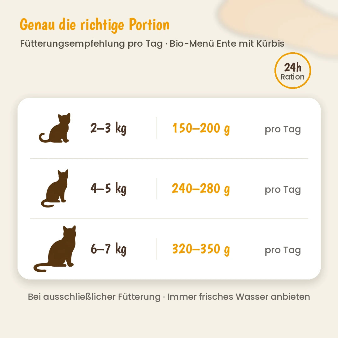Katze Bio-Menü Ente mit Kürbis