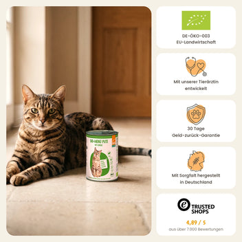 Katze Bio-Menü Pute mit Kürbis