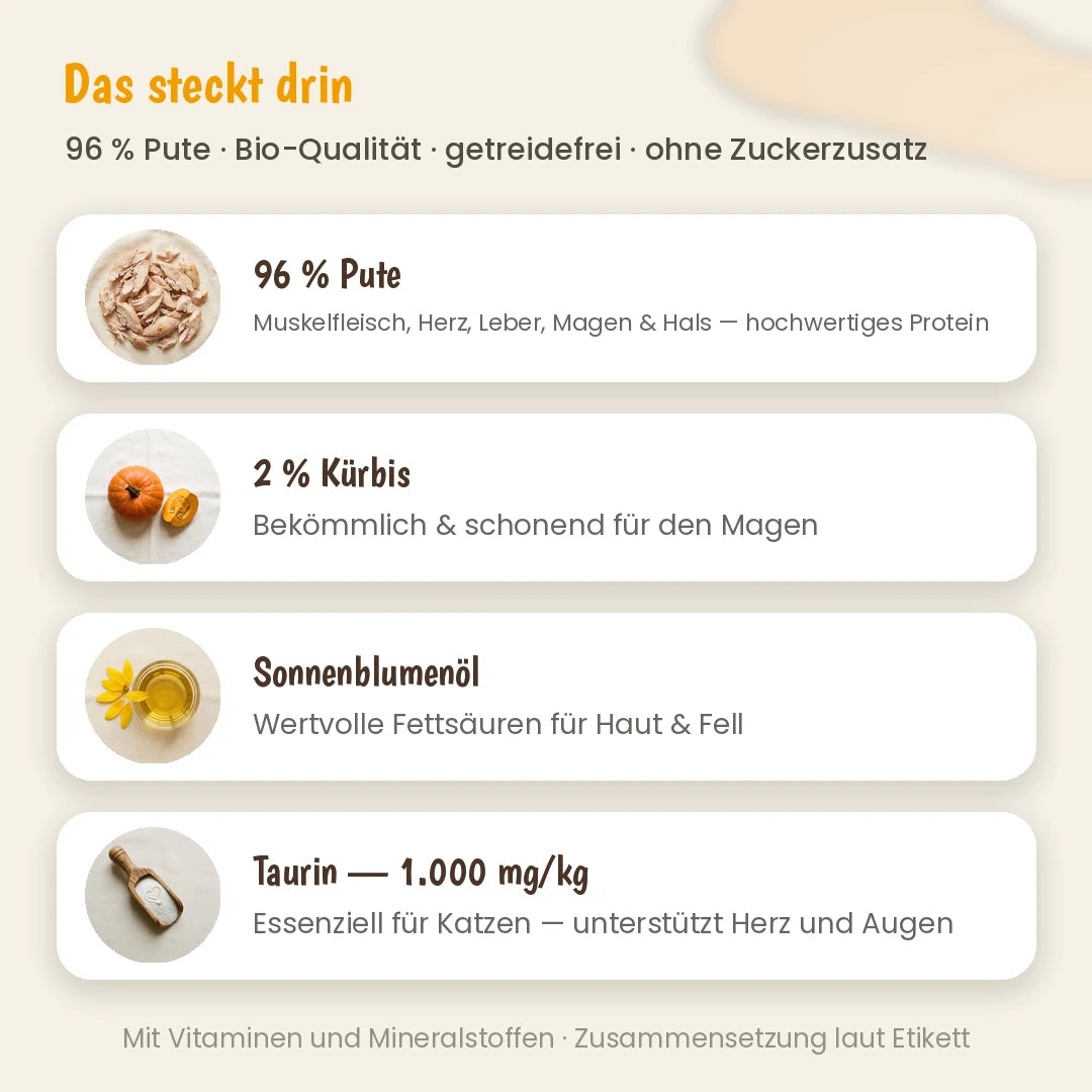 Katze Bio-Menü Pute mit Kürbis