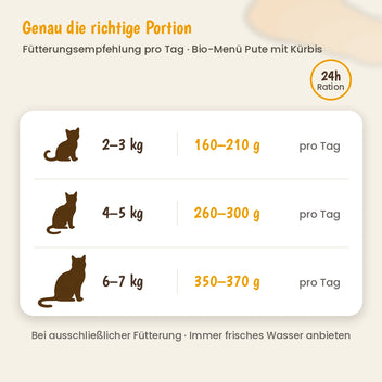 Katze Bio-Menü Pute mit Kürbis