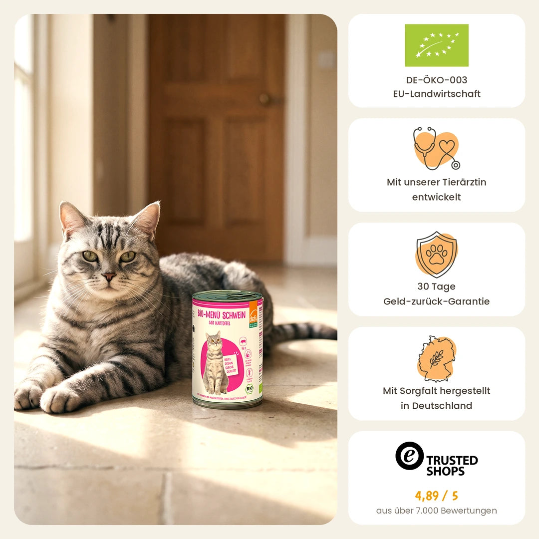 Katze Bio-Menü Schwein mit Kartoffel