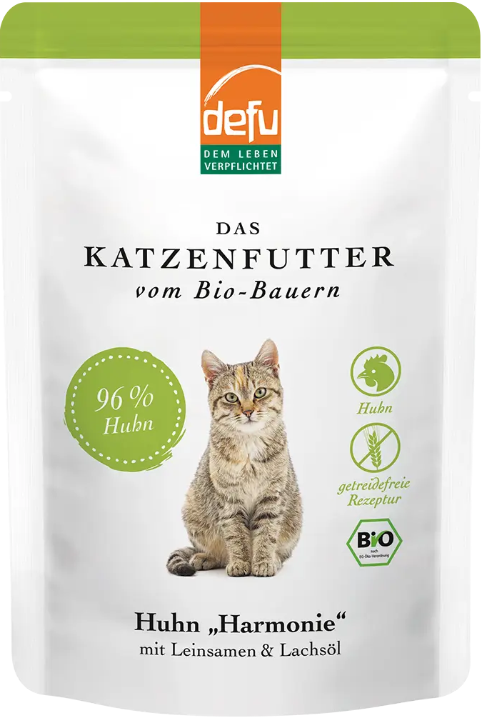 Katze Huhn "Harmonie"