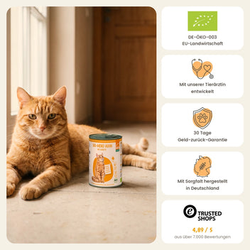 Katze Bio-Menü Huhn mit Karotte