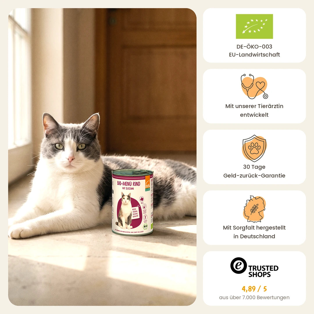 Katze Bio-Menü Rind mit Zucchini
