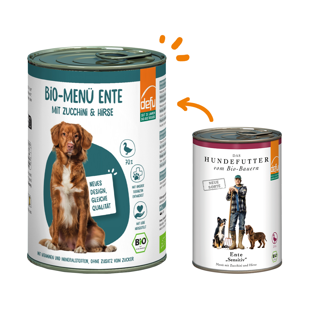 Hund Bio-Menü Ente mit Zucchini & Hirse