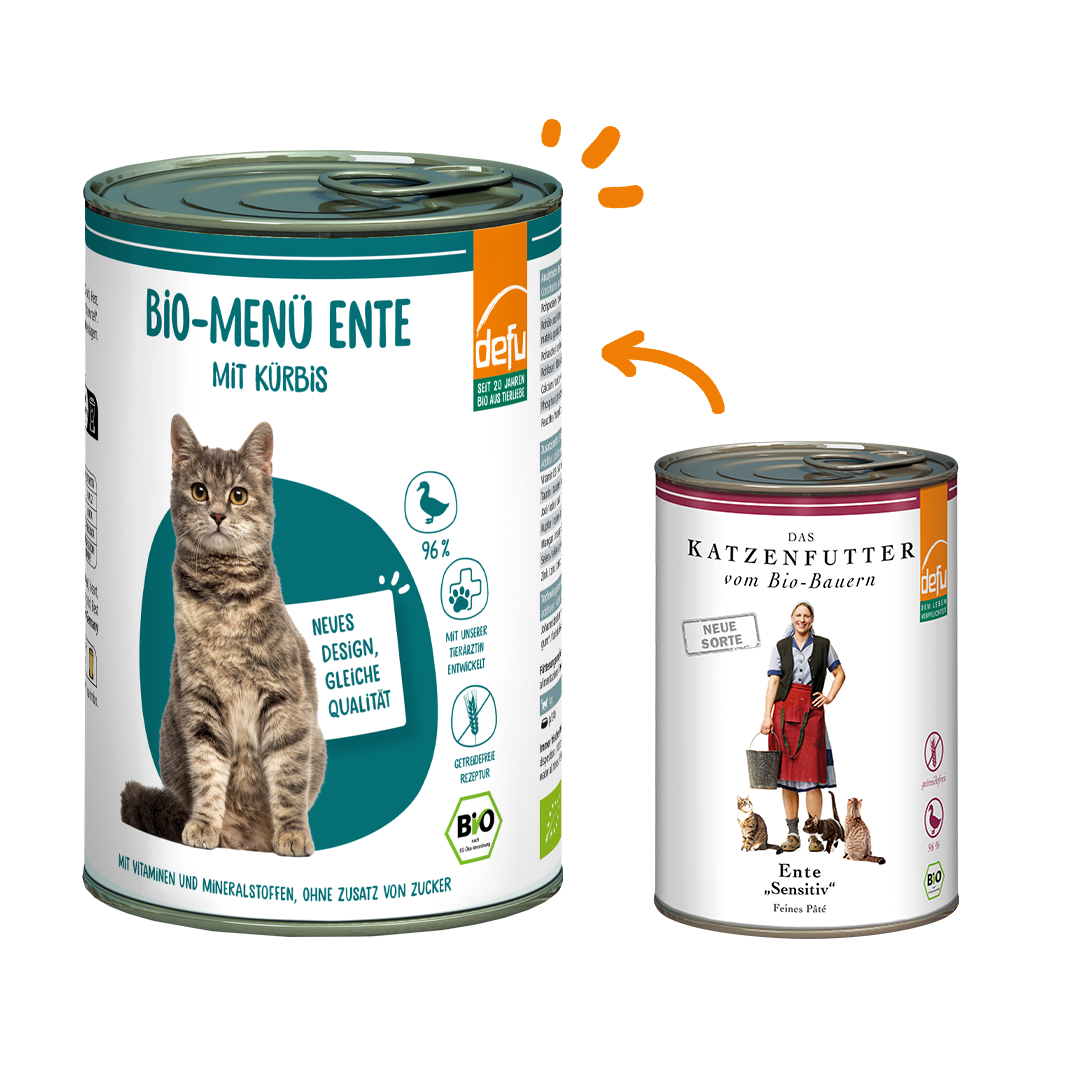 Katze Bio-Menü Ente mit Kürbis