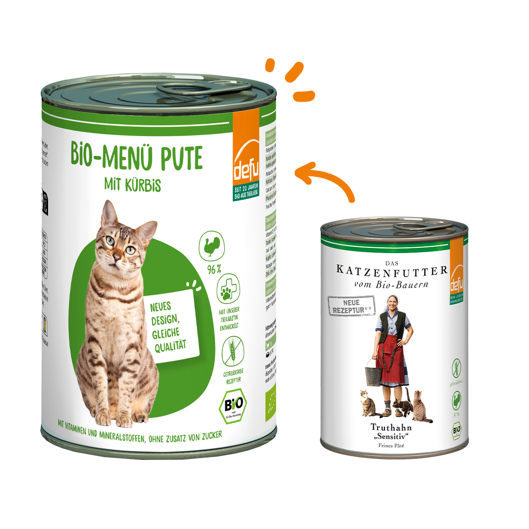Katze Bio-Menü Pute mit Kürbis