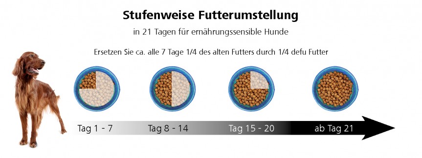 Stufenweise Futterumstellung für sensible Hunde