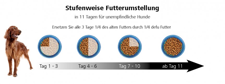 Stufenweise Futterumstellung für unempfindliche Hunde