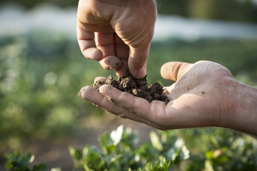 Die Erde als Kernelement unserer Landwirtschaft