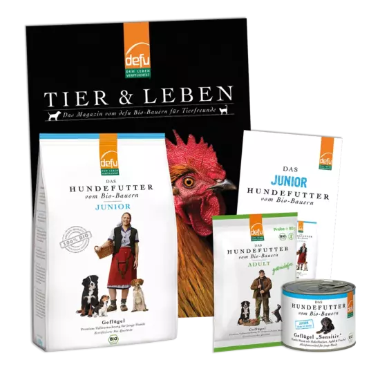 Hund: Probierpaket - Junior