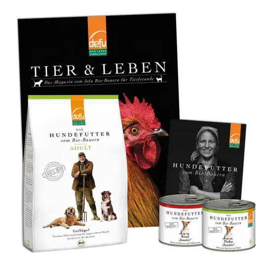 Hund: Probierpaket - Adult