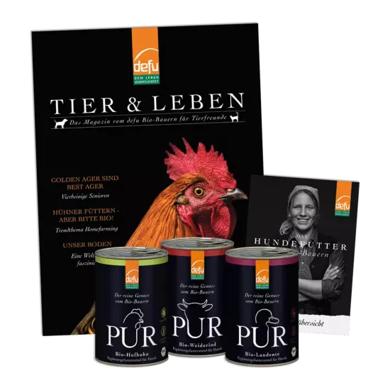 Hund: Probierpaket - PUR