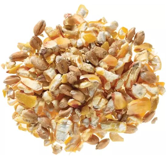 Bio-Körnerfutter 25 kg