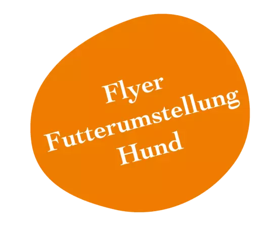 Flyer Hund: Futterumstellung